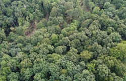 Hidden Acres RD, Tell City, IN 47586