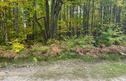 Fairway Drive lot: 10, Roscommon, MI 48653