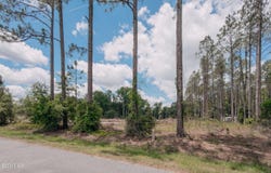 Isaac Road, Claxton, GA 30417
