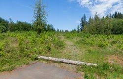 Meissner RD, Deer Island, OR 97054