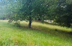 3283 Bogan Road, Buford, GA 30519