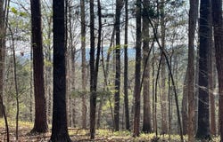 TRACT 1B CHALCREST Way, Cave Spring, GA 30124