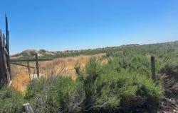 Jackson, Lemoore, CA 93245