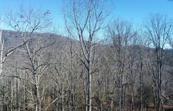 Hornet, Whittier, NC 28789