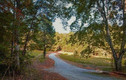 0 Cottonwood Lane, Blue Ridge, GA 30513