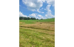 0 Cherry Grove Road, Flemingsburg, KY 41041