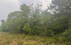 Lot 5 Round Table Road, DeFuniak Springs, FL 32433