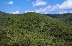 0 JTK S jtk road Bluffs, Shirley, AR 72153