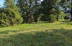 1145 Lake Point Road, Kissee Mills, MO 65680