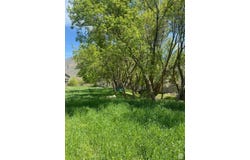 2678 CANYON S, Springville, UT 84663