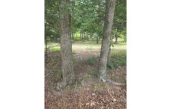 Polk Rd 76 E, Mena, AR 71953