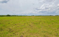 N C 470, LAKE PANASOFFKEE, FL 33538
