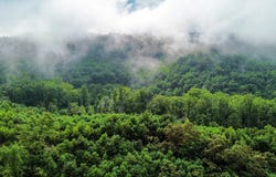 0 County Road 181, Ironton, OH 45638