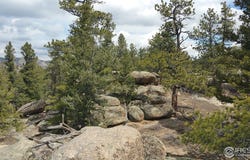 2928 Fox Acres Dr E, Red Feather Lakes, CO 80545