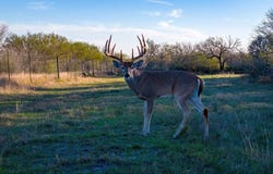 998 County Road 361, TX 11111