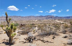 720 E Vulcan Drive, Meadview, AZ 86444