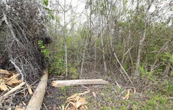 11th Ave, Alexander City, AL 35010