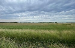 1085 Moses Rd., Quemado, TX 78877