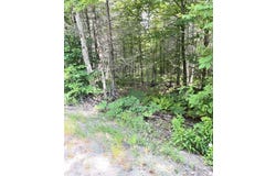 L25 Cleveland Rd Road, Indian Lake, NY 12842