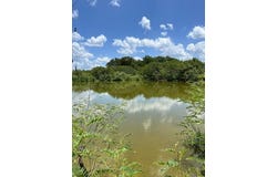 TBD FM 2237 (Easement), Cistern, TX 78941