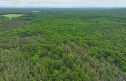 7376 W 7 Mile Road, Irons, MI 49644