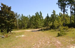 5308 Enigma Drive, Windsor, SC 29856