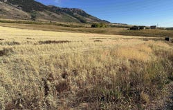 LOT 28 EAGLE VIEW DRIVE, Inkom, ID 83245