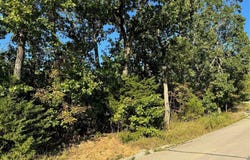 0 Lot 6b Lakeview Drive, Perryville, MO 63775