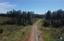 27286 Prince Edward Highway, Rice, VA 23966