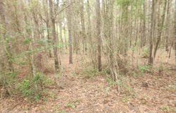 0 River Trace, Camilla, GA 31730