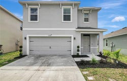 17038 WAVE TRESSLE Place, WIMAUMA, FL 33598