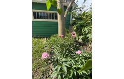 1415  14th St, Aurora, NE 68818