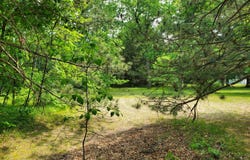 998 E Monroe Street, White Cloud, MI 49349