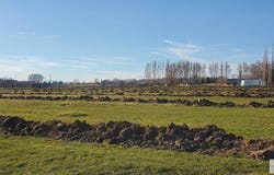 N Annis Hwy, Rigby, ID 83442