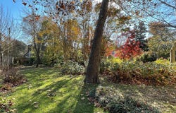 109 HAZZARD LANE, MILTON, DE 19968