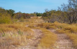 County Road 122, TX 11111