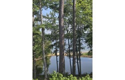 1282 Striper Cove, Tignall, GA 30817