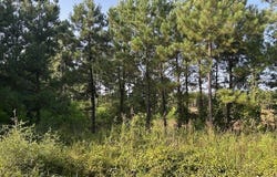 TBD CR 1060, Center, TX 75935