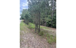 TBD Festival Trail Road, Salley, SC 29137