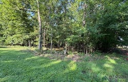 002-06256-000 Mallard Point Road, Mountain Home, AR 72653