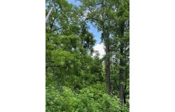 5800 KY 719, Sandy Hook, KY 41171