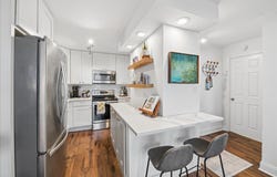 450 W Briar Place, Chicago, IL 60657