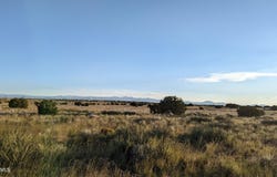 202 County Road N6451 --, St Johns, AZ 85936