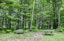 3655 CTH N, Rhinelander, WI 54501