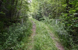 TBD- 40ac Mud Lake, Lake Linden, MI 49945
