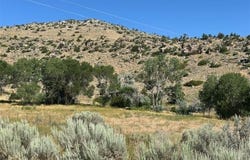 TBD Wall St, Cody, WY 82414