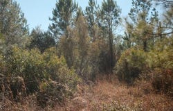 169 Johns Way, Nahunta, GA 31553