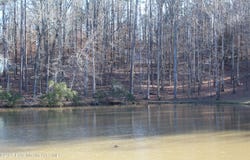 Lot 44 Crestview Ln, Dadeville, AL 36853
