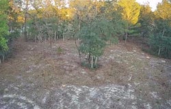 6599 N Varsity Avenue, Citrus Springs, FL 34434