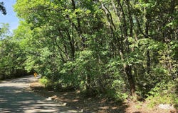 31 Lots Mathis Mountain Road, Huntsville, AL 35803